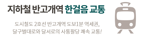 반고개역 푸르지오 교통 프리미엄 상세 설명